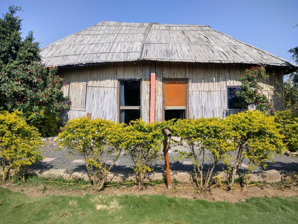 The Hillview Camp Resort 萨三吉尔 外观 照片